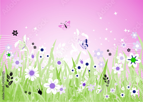 Spring meadow beautiful