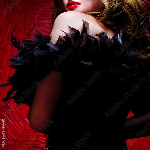 Pretty woman with ostrich feathers