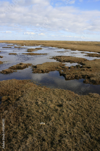 Bog of Blavand - Sumpf von Blavand