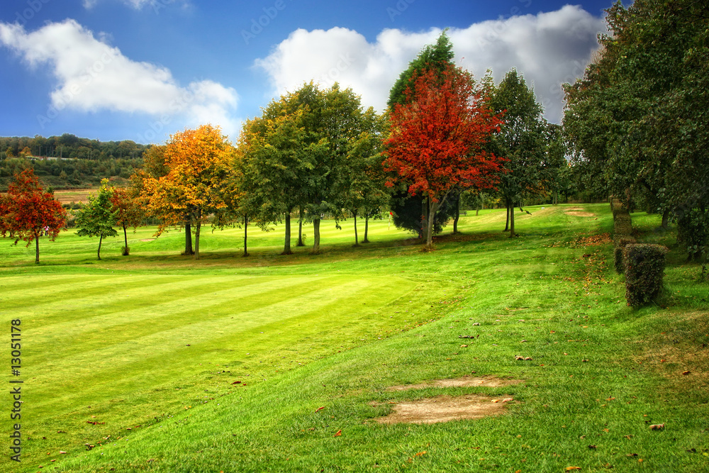 Naklejka premium Golf Course