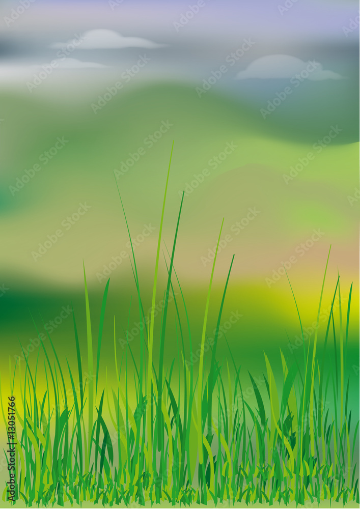 Landscape Landscape