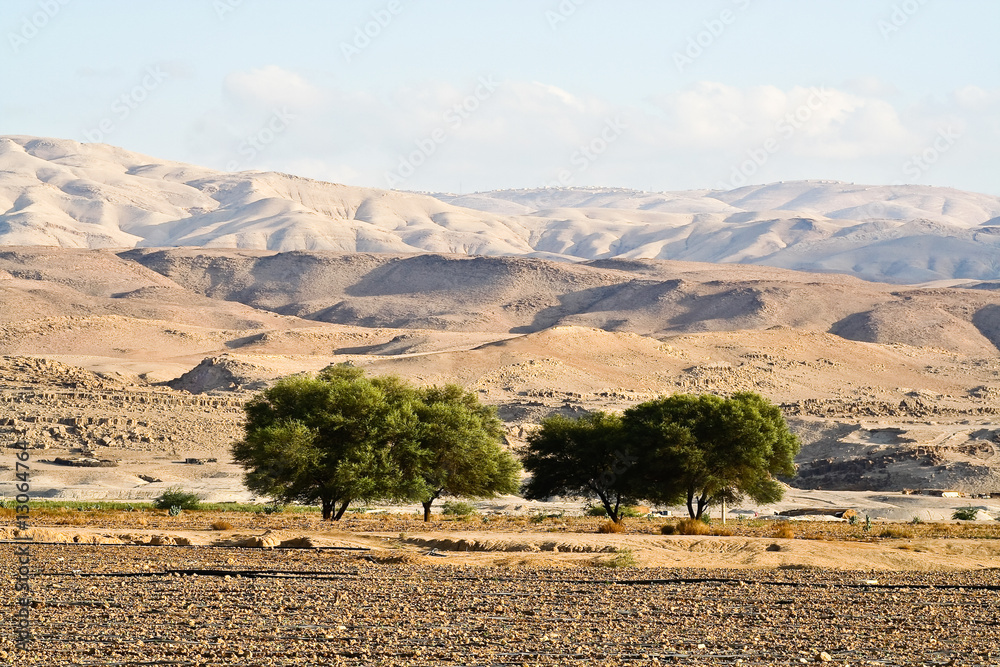 Naklejka premium Landscape of Jordan