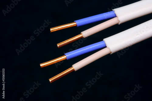 Electric wires