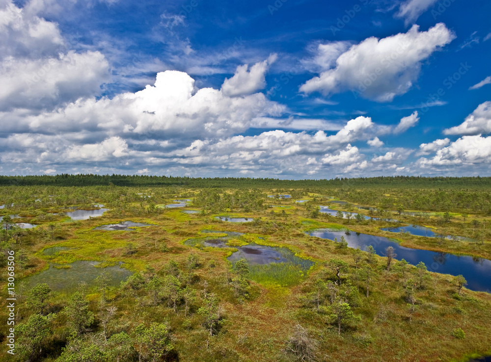 Hochmoor