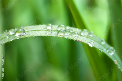 droplet on blade of grass