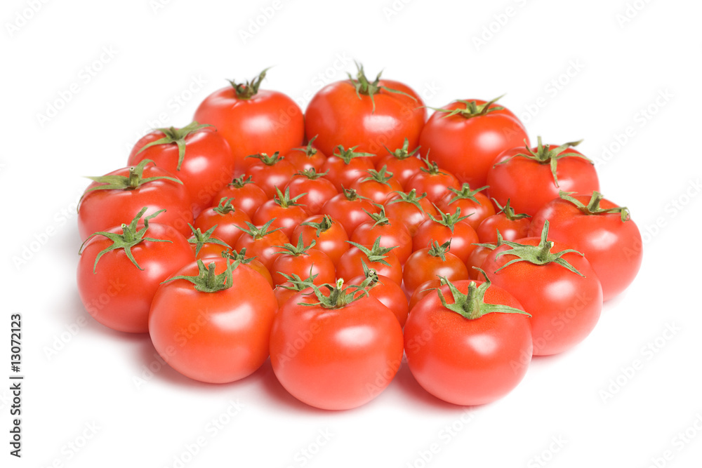 Group of tomatoes-1