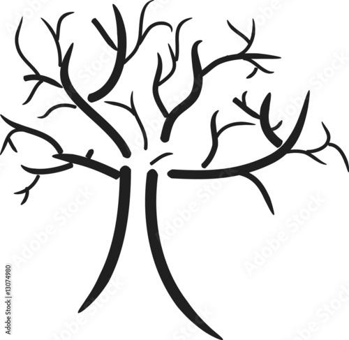 albero