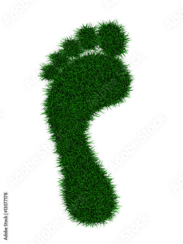 Carbon Footprint