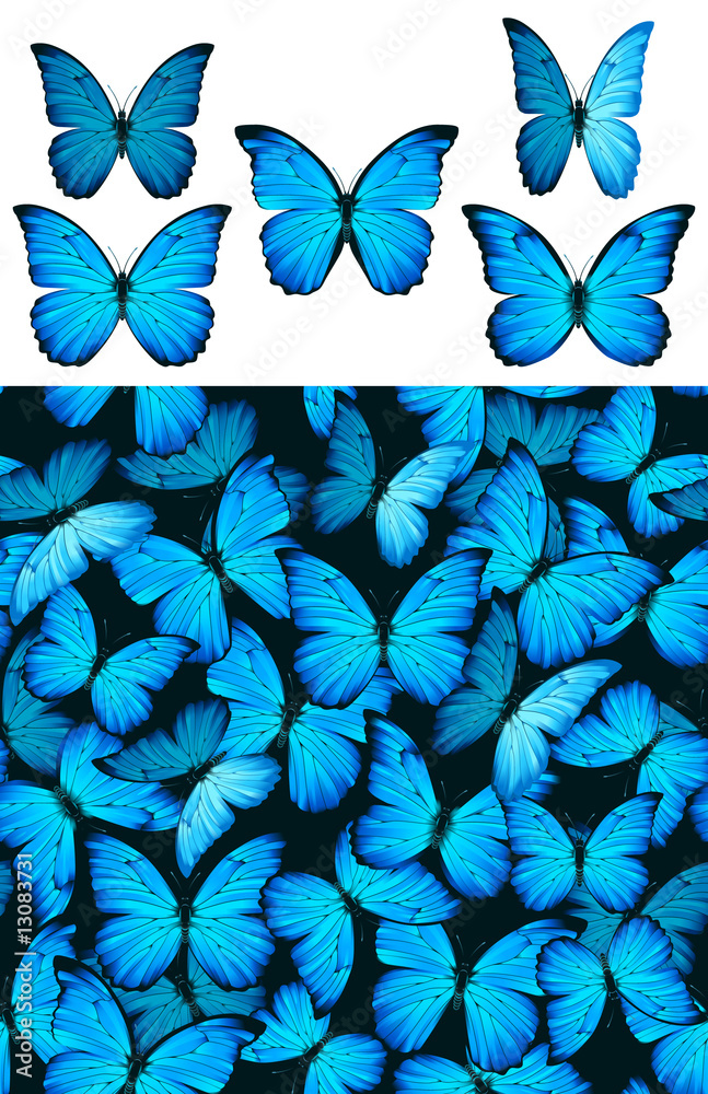 Naklejka premium Blue butterfly Morphinae pattern