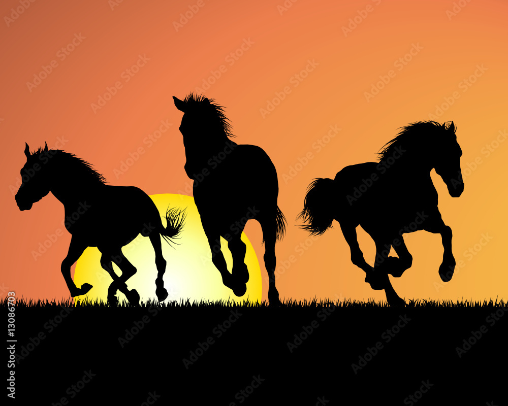 Fototapeta koń na tle zachodu słońca