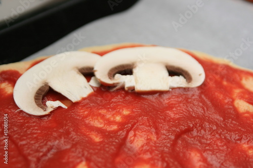 pizza photo