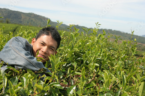 Portrait of tea plantation owner happy photo