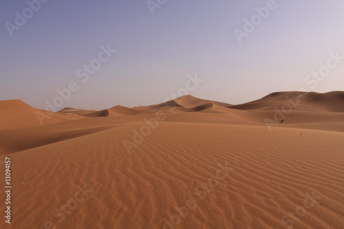 Dunes du Sahara