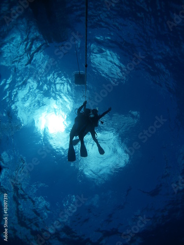 Wallpaper Mural 水面吸息 Torontodigital.ca