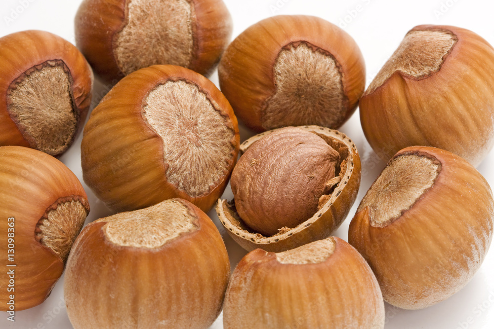 different hazelnut different hazelnut