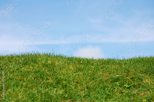grass and blue sky