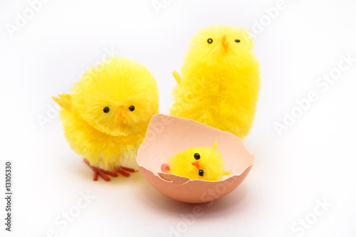Eggs With Surprise
