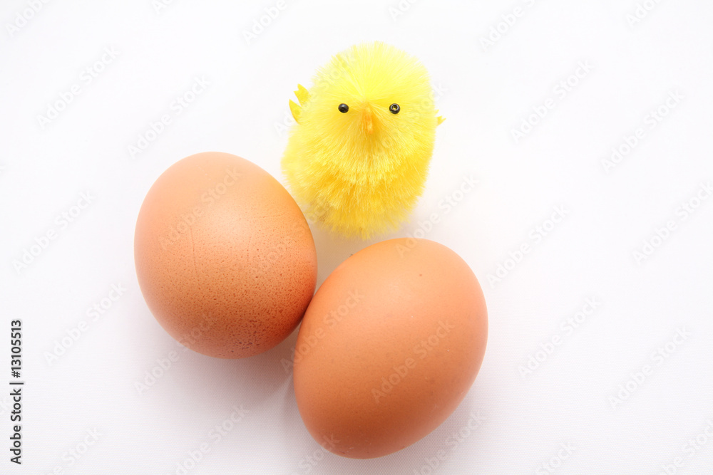 Chicken near eggs Chicken near eggs