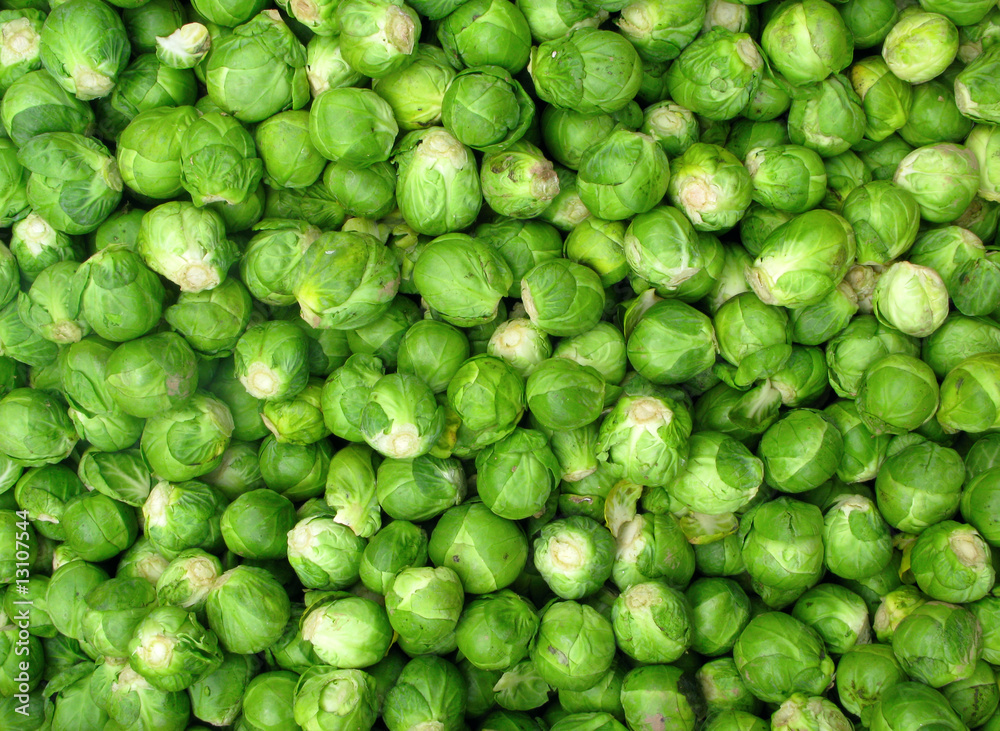 Lots of small green Brussel sprout vegetables. Lots of small green Brussel sprout vegetables.