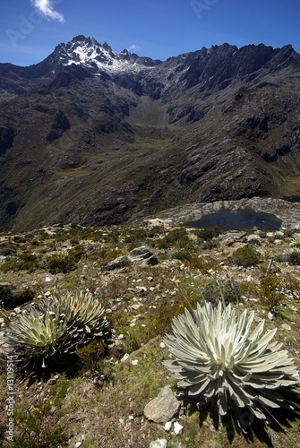 Randonnée de haute montagne vers le Pico Bolivar photo