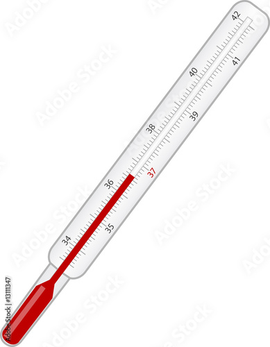 Thermometer. Isolated on white. Vector illustration.