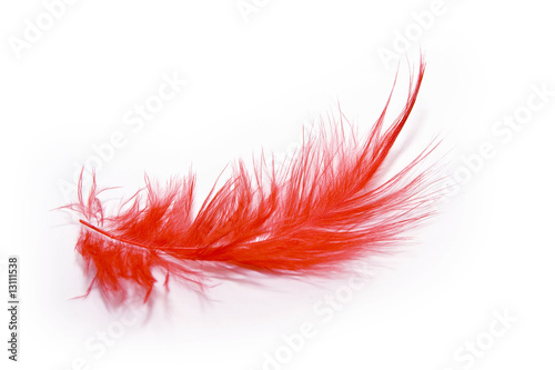 red feather