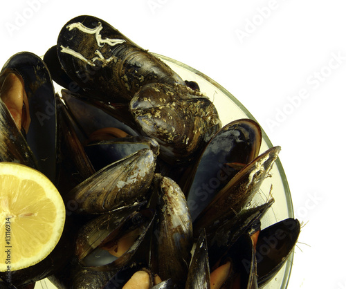 Mejillones al vapor photo