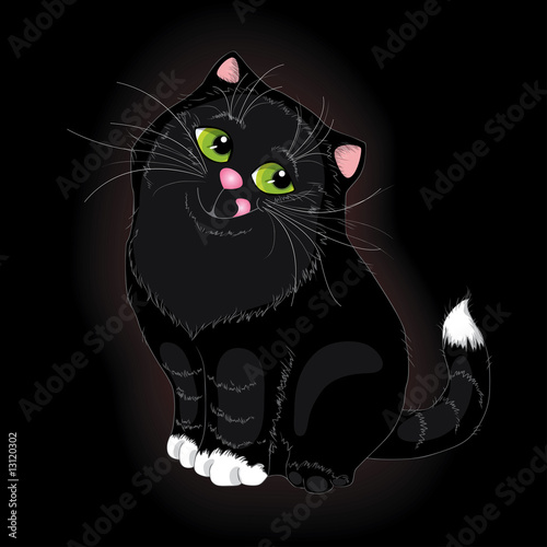 Black cat