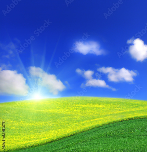 Rape field