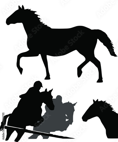 Horses