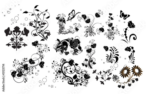 multiflorals et roses noires