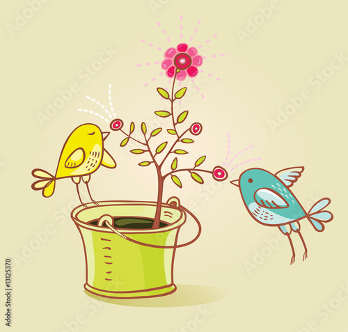 two birds