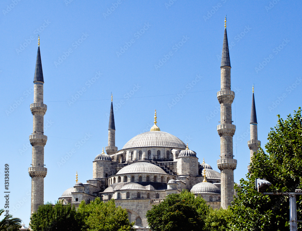 Obraz premium Blue Mosque in Istanbul