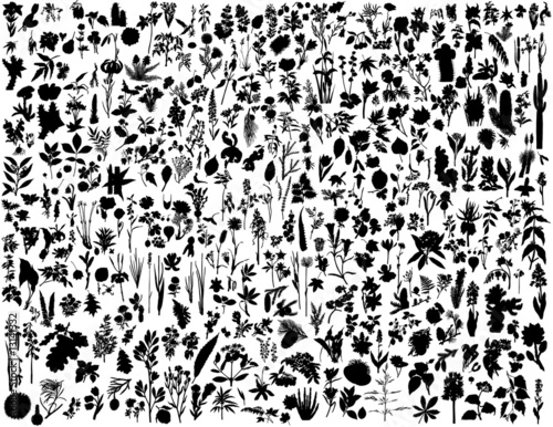 plants silhouette collection