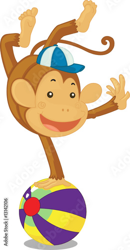 monkey