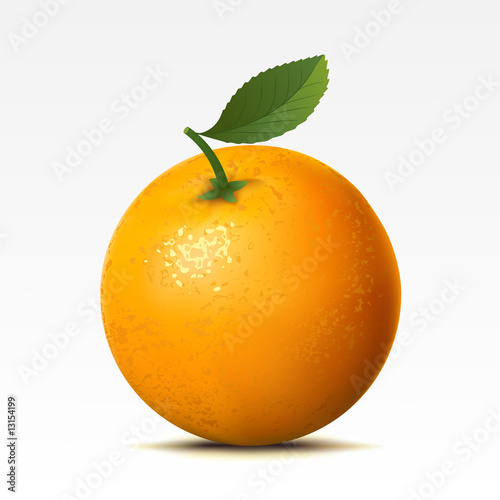 Orange on a white background