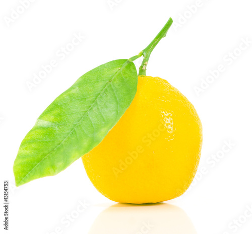 Branch with a lemon and a leaf