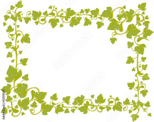 Vector Ivy Border