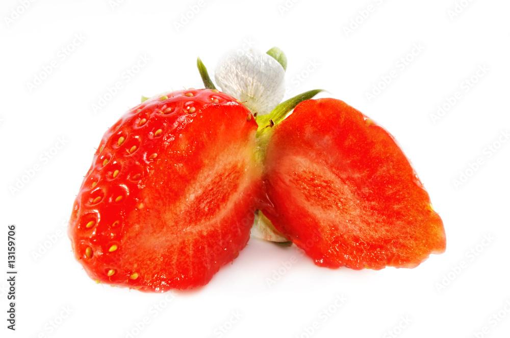 Erdbeere mit Blüte Erdbeere mit Blüte