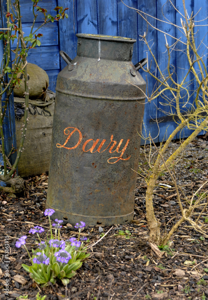 Obraz premium antique dairy can