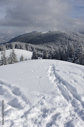 spuren im schnee