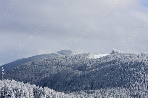 schnee am farrnpoint photo