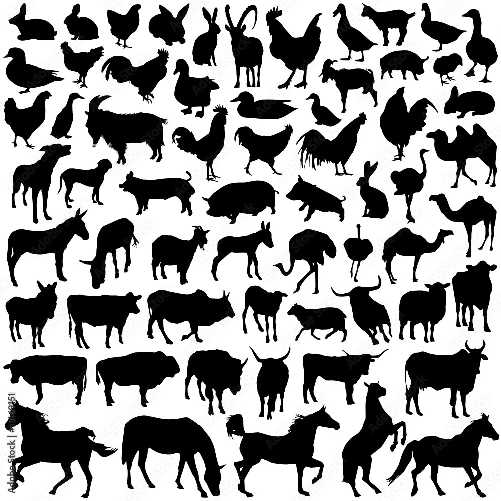 farm animals vector