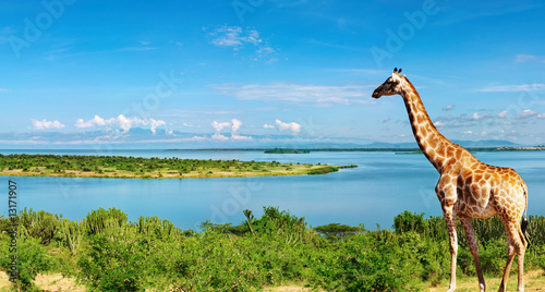 Nile river, Uganda