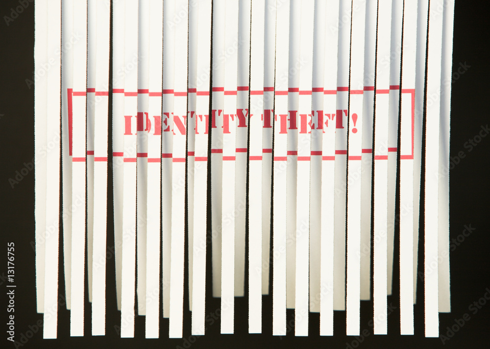 Obraz premium Shredded Document - Identity Theft