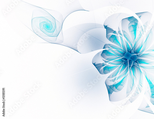 Very nice silver blue flower