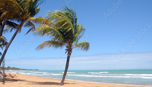Beautiful tropical beach with palm tree