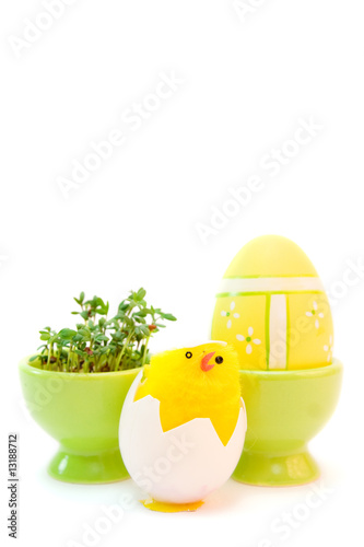 easter egg and cress isolated on white