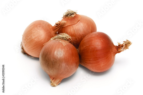 Wallpaper Mural cebollas Torontodigital.ca