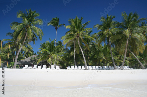 Tropical Sand Beach, Lounge Chairs, Palm Trees